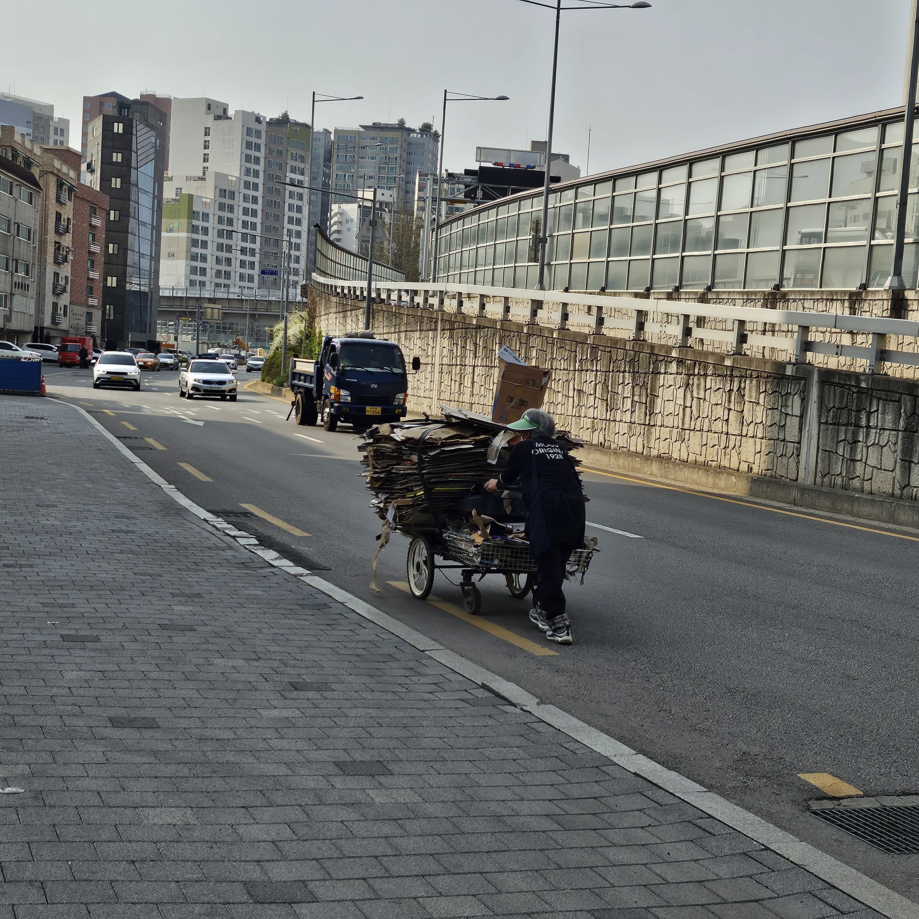 2025년 8월 1kg에 40원