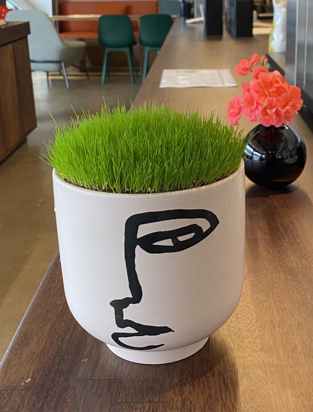 봄은 내 머리 위에!