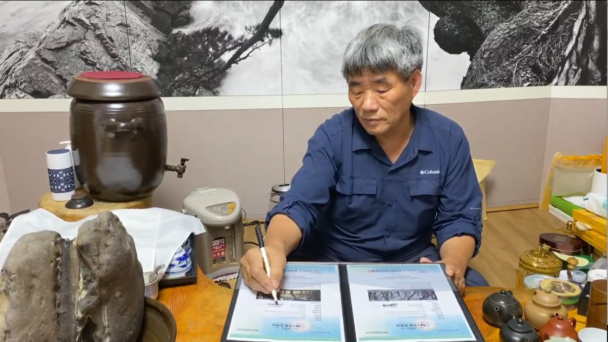 소나무 四季 연작 시리즈_태고의 이야기 SHK-B-068