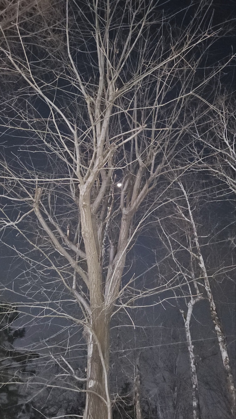 겨울이 지나면 봄은 오겠지