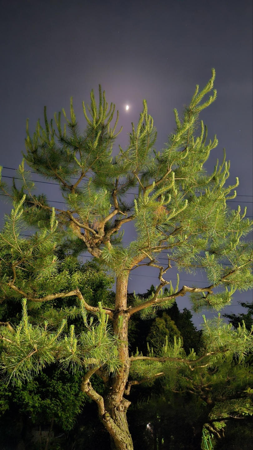 희망의 메세지의 밝은 달빛