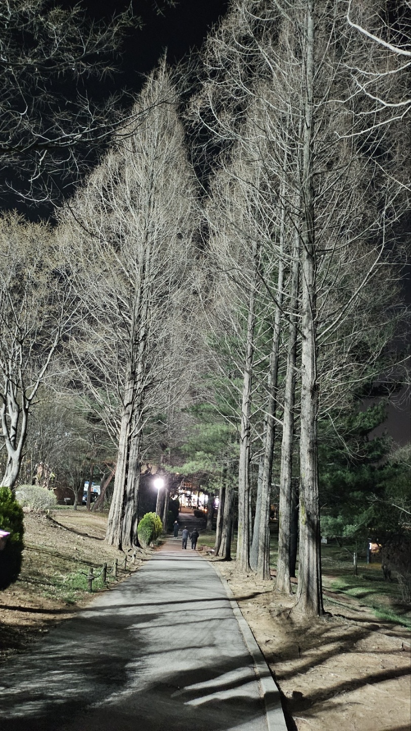 가로등이 미래의 빛이고 희망이길....