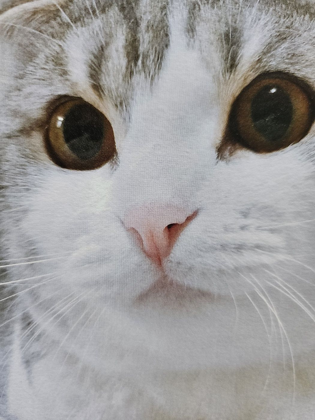 능이